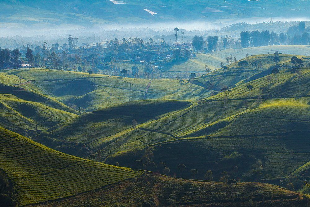 The beauty of my country