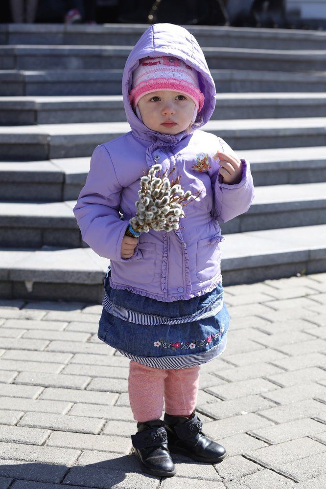 Вербное воскресенье 2017