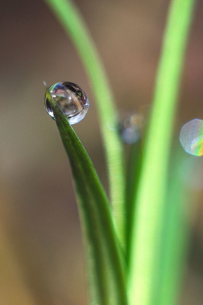 Photograph by Аксана Чалова