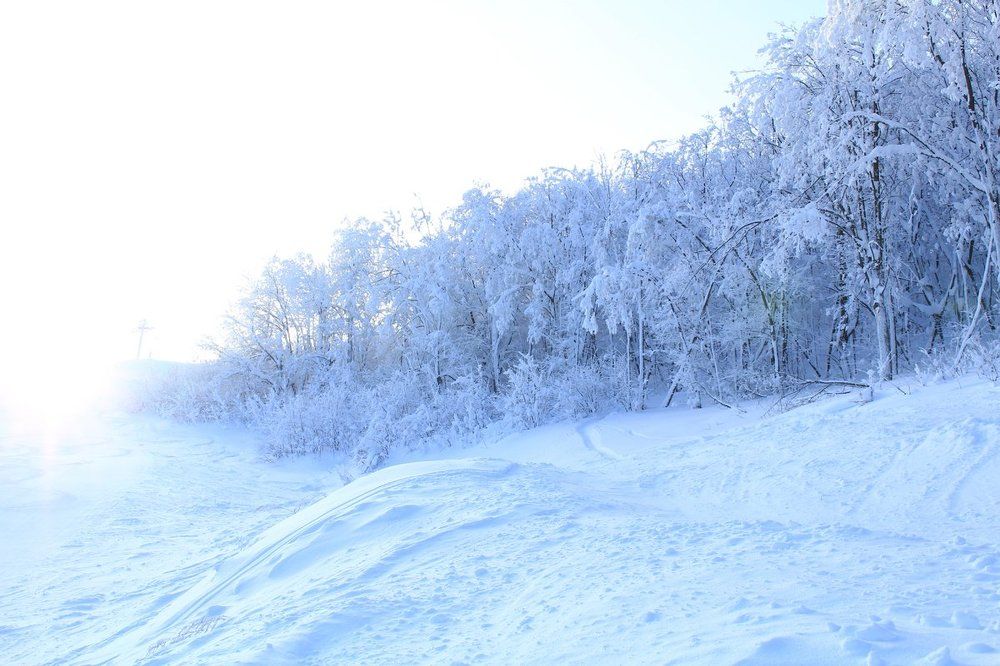Зимний лес.