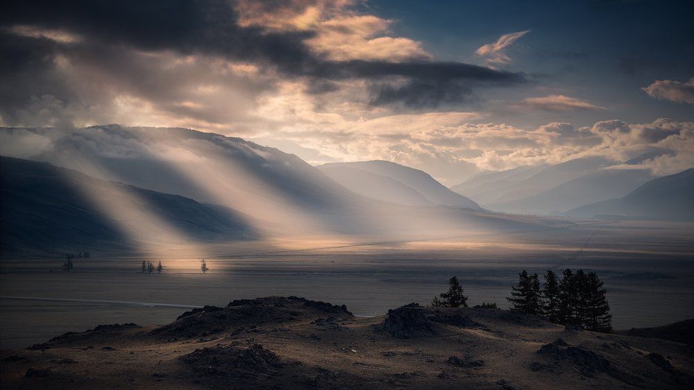 Утро в Курайской степи