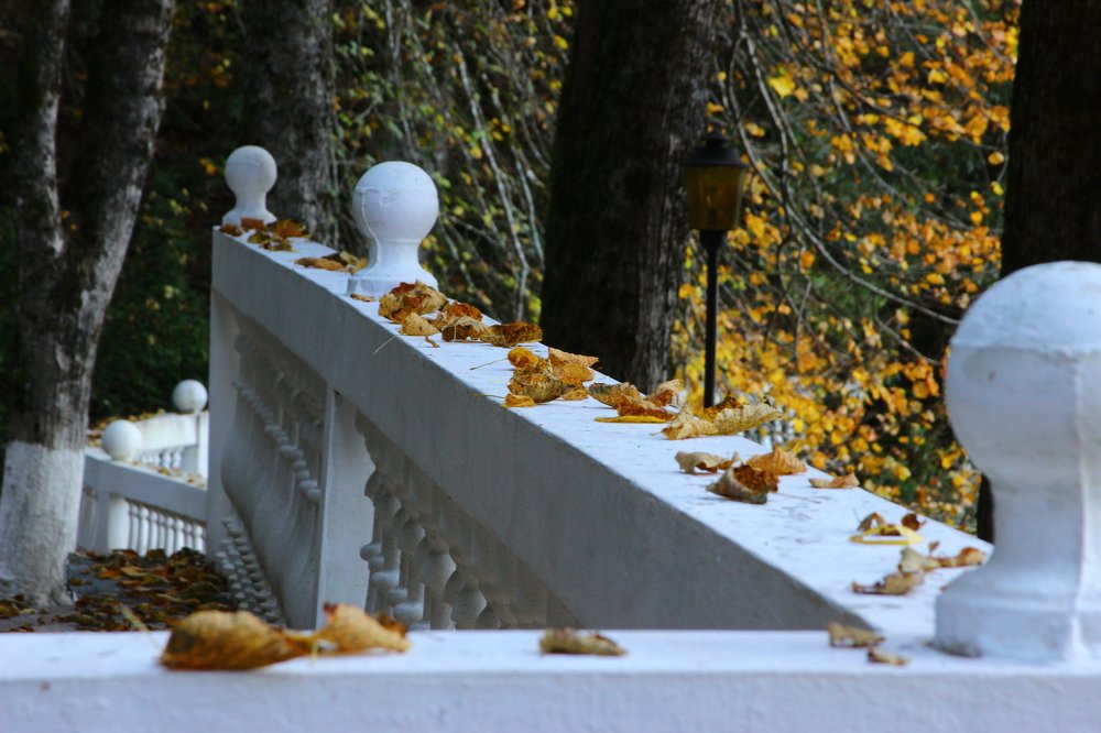 Тишина осени