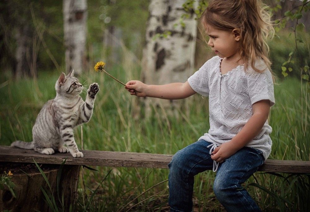 Я подарю тебе весну