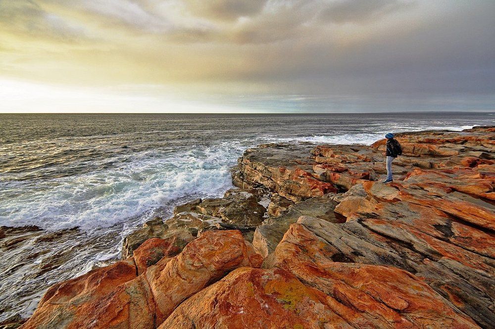 Перед грозой