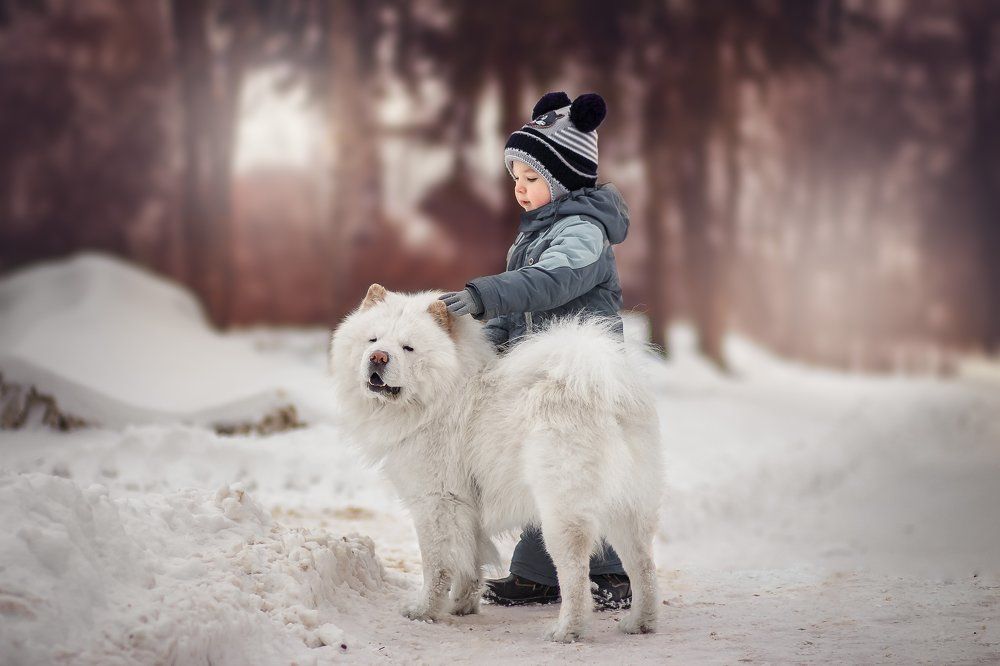 Ярик и Арчи