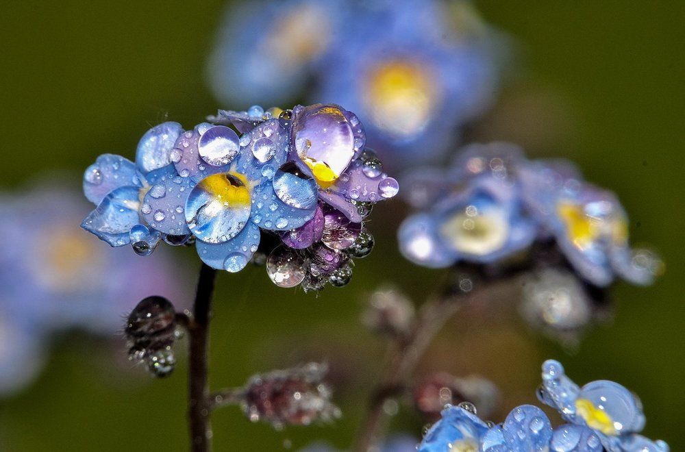 Бриллианты