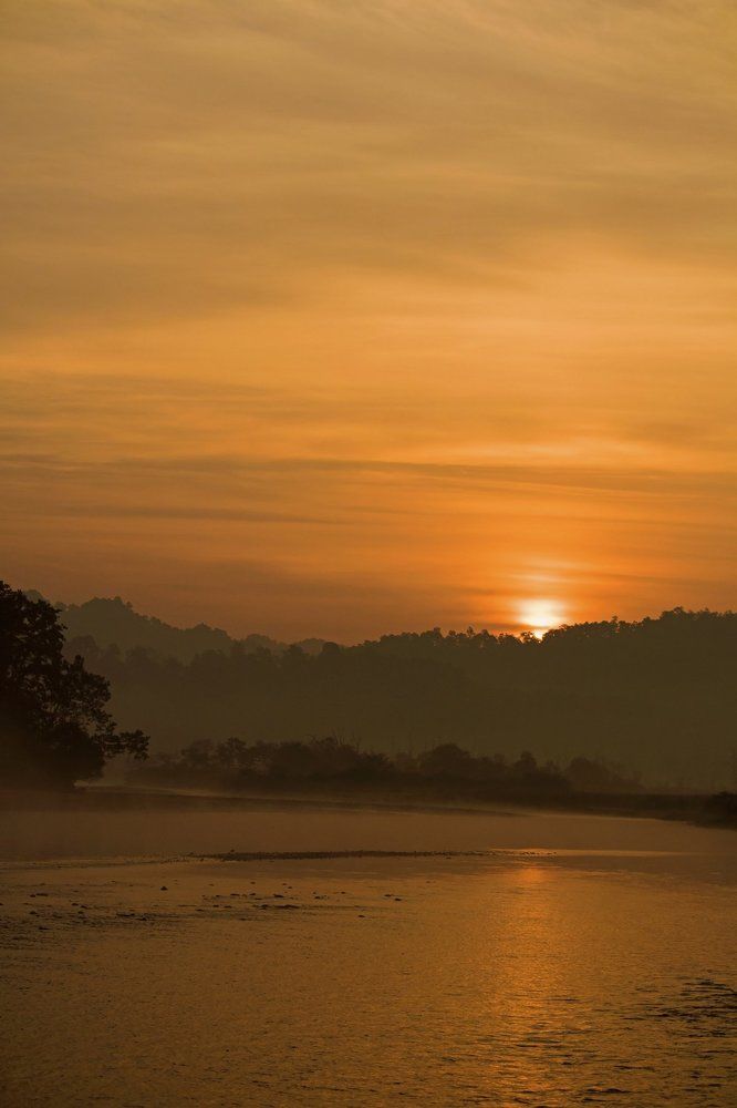 SAVE EARTH, SAVE LIFE !!!