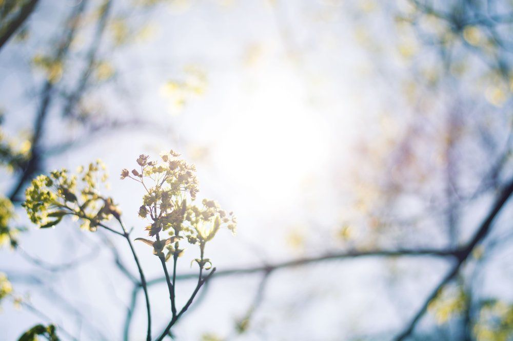 Теплые воспоминания / Warm memories