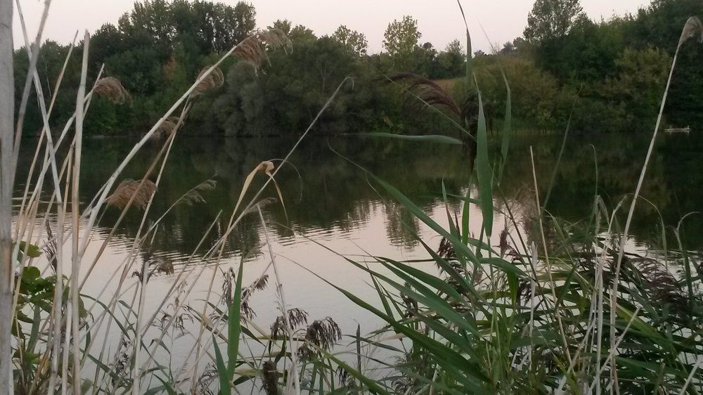 Photo #1733091
