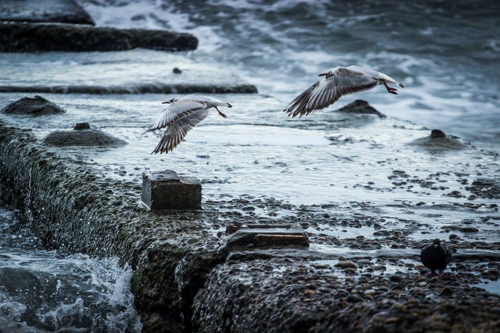 Перелетая через волнорез