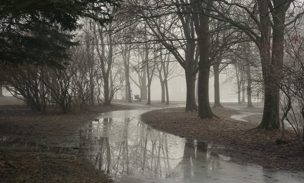 Весенняя аллейка