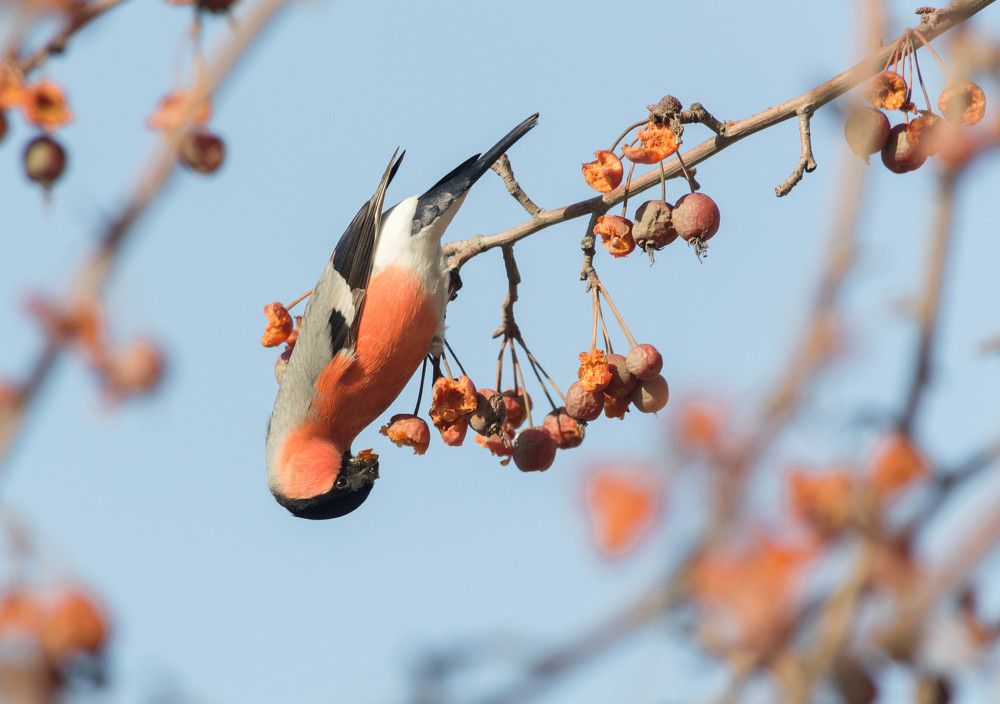 Photograph by Андрей Красников