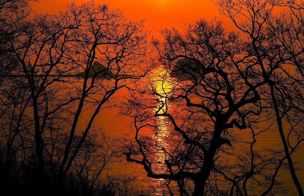 Рассвета первые лучи