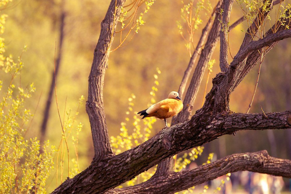 На любимом месте
