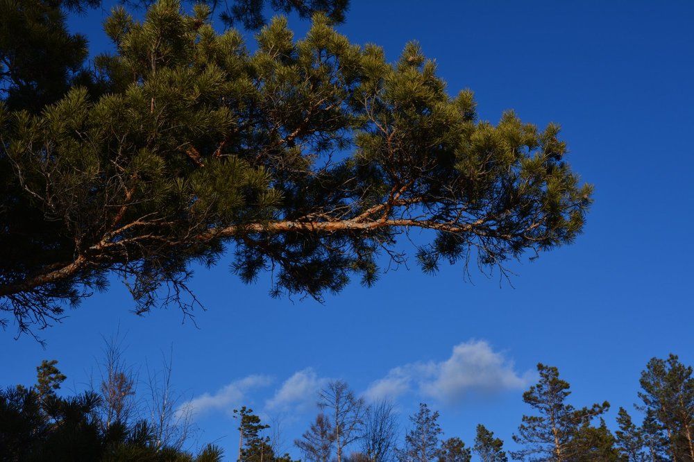 Photograph by Сергей