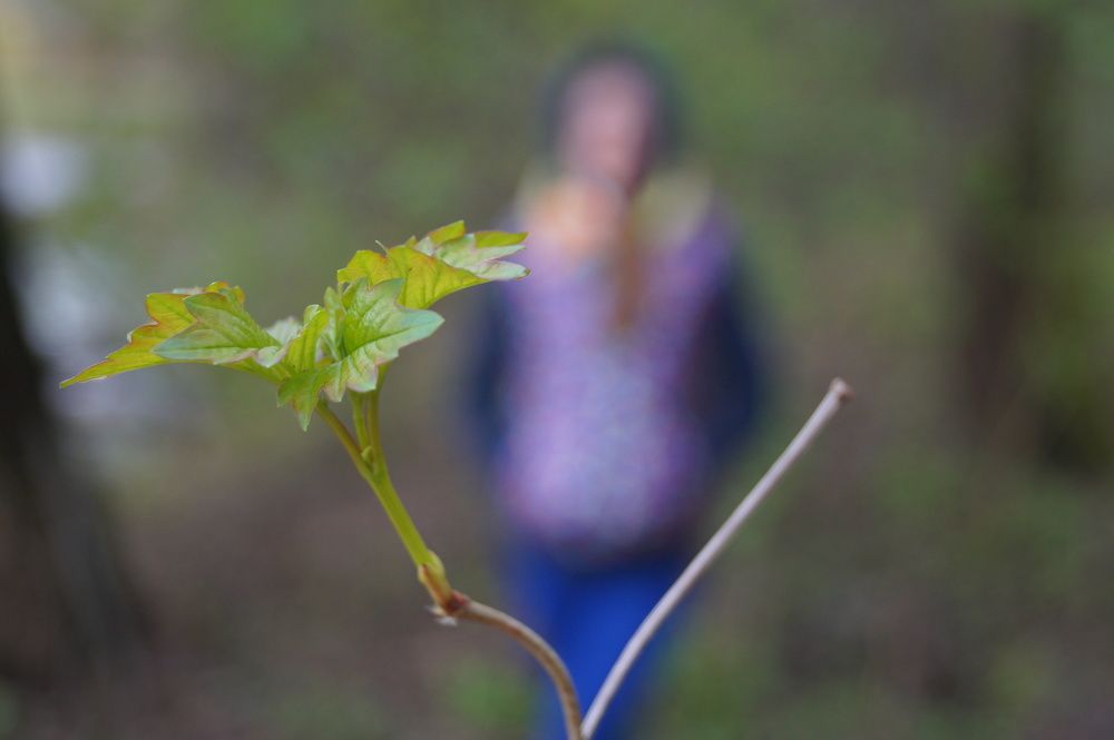 Photograph by Вадим