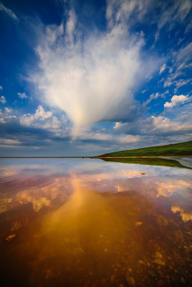 Пике небесной птицы