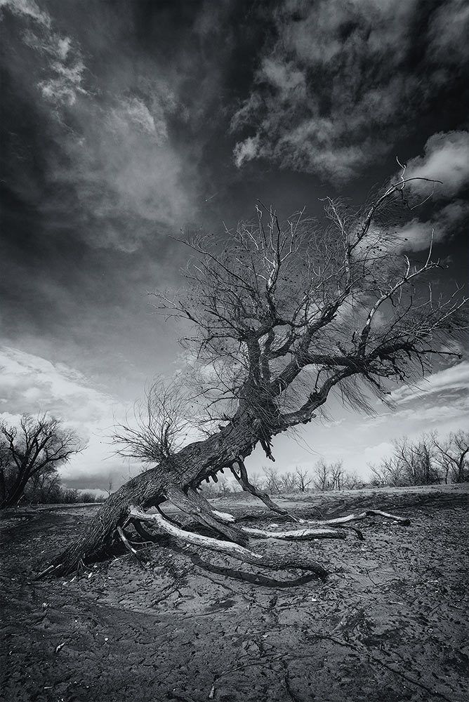 Фотография автора Игорь Баранов