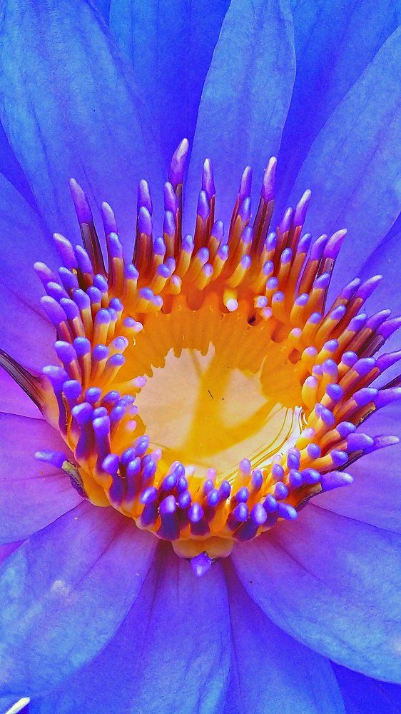 Photograph by Kandubasha