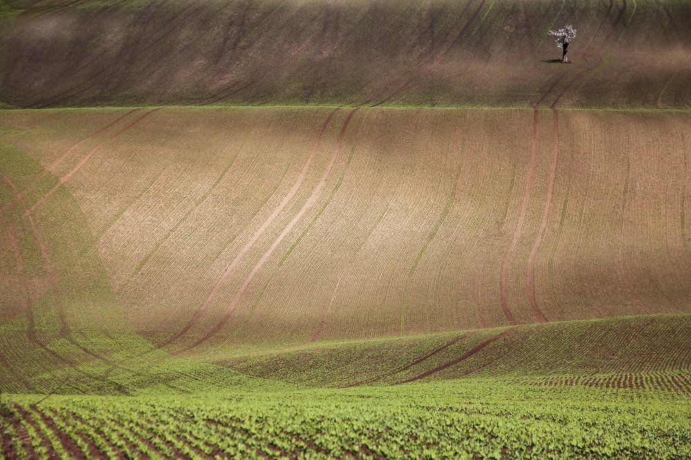 моравские мотивы