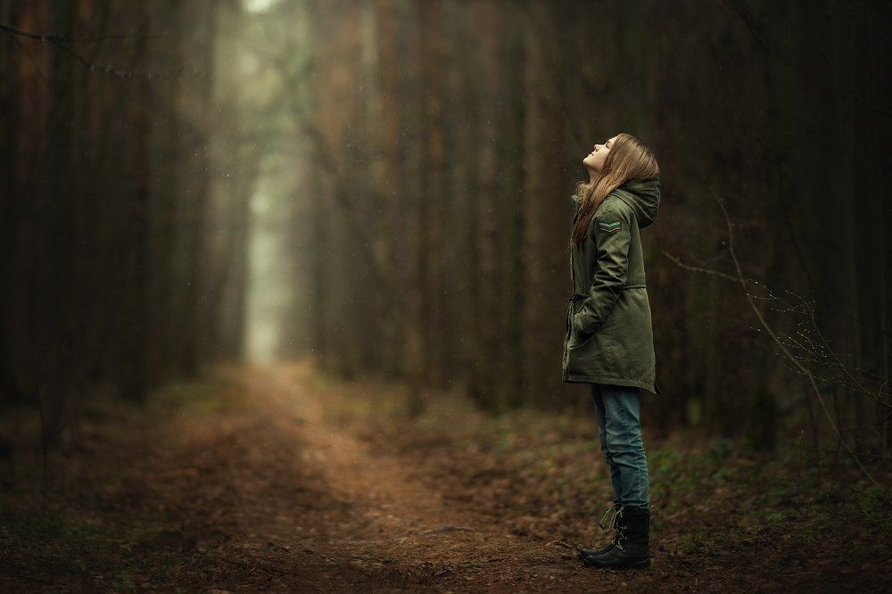 в таинственном лесу