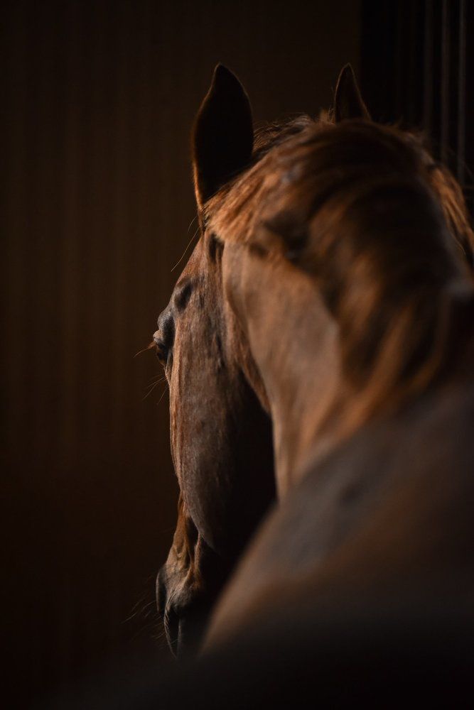 спокойствие силы