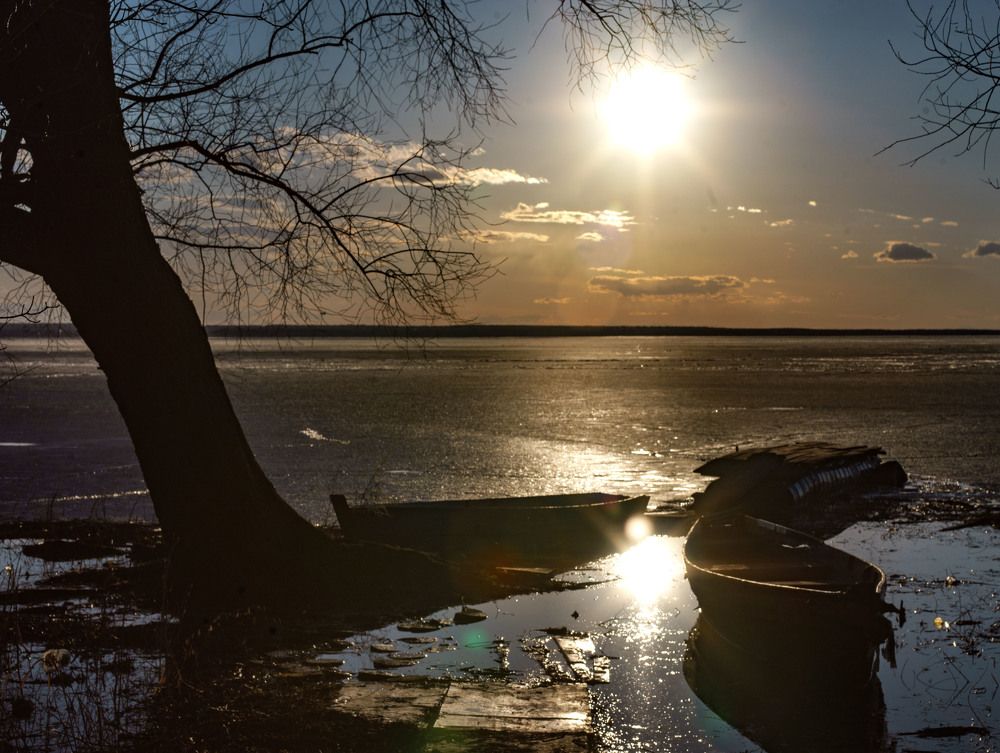 на встречу лету