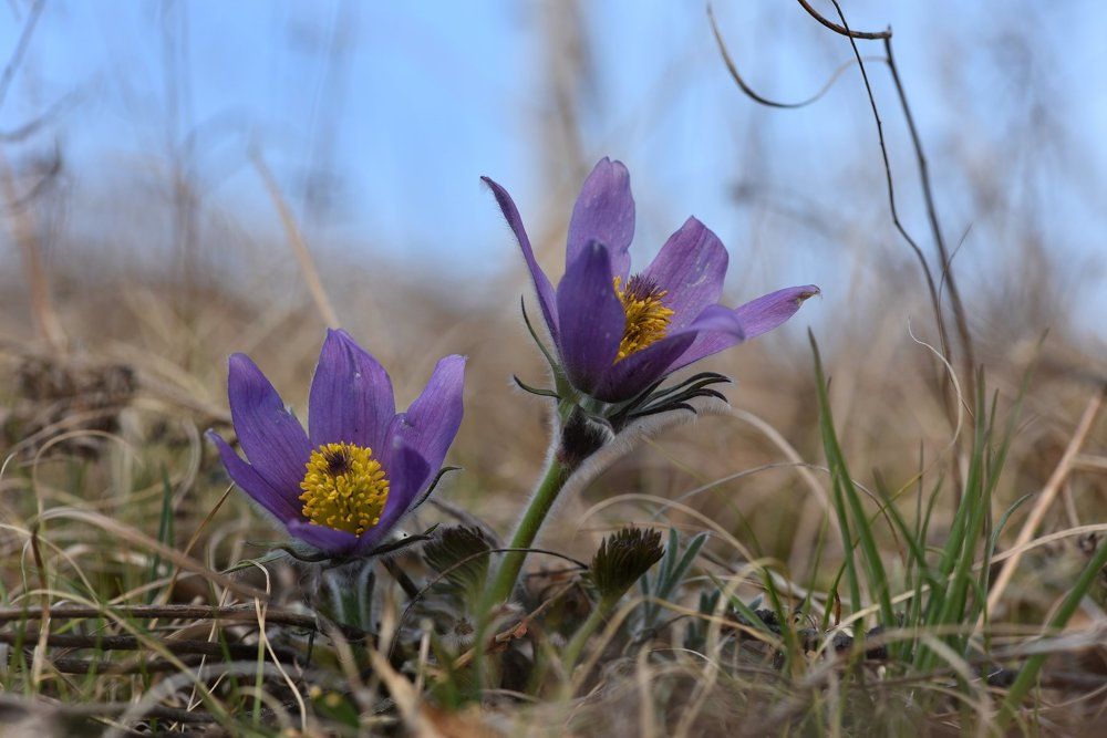 Навстречу солнцу!