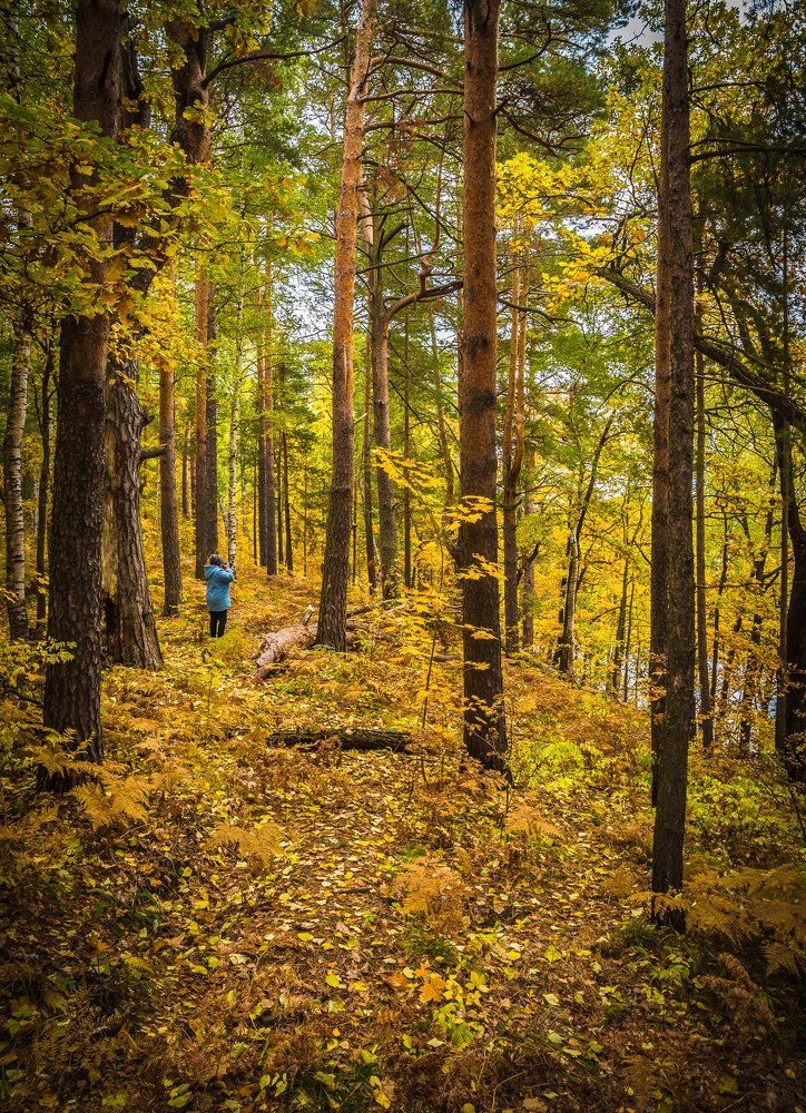 В осеннем лесу