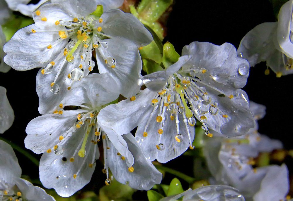 Апрельский дождь прошёл