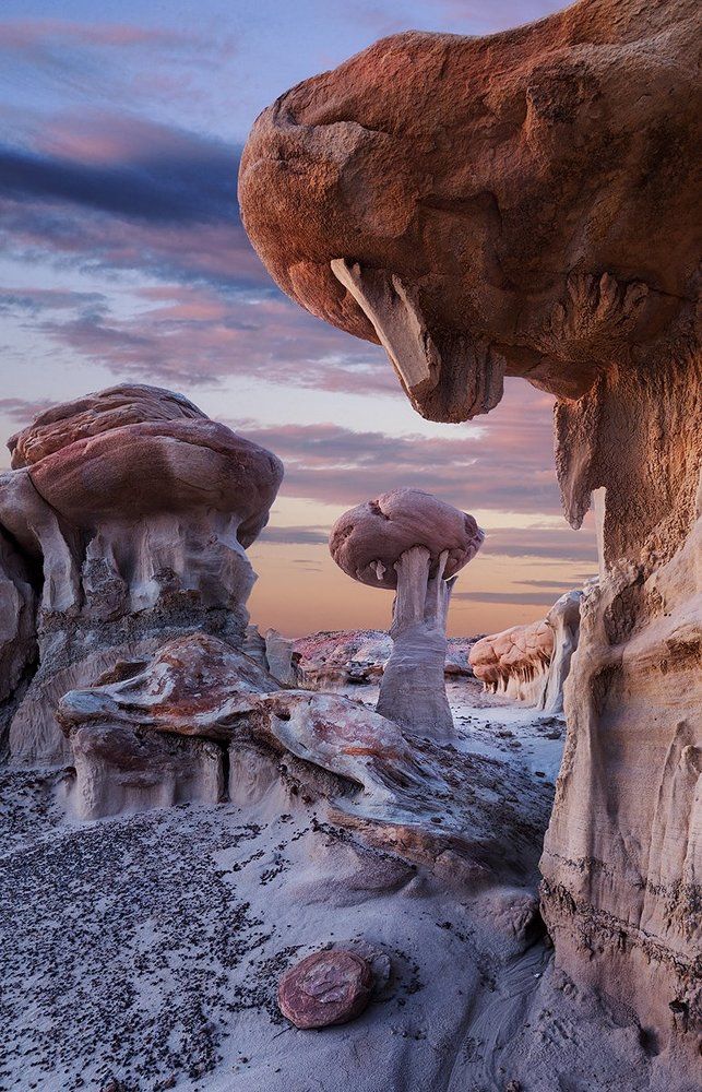 Сон Сальвадора Дали