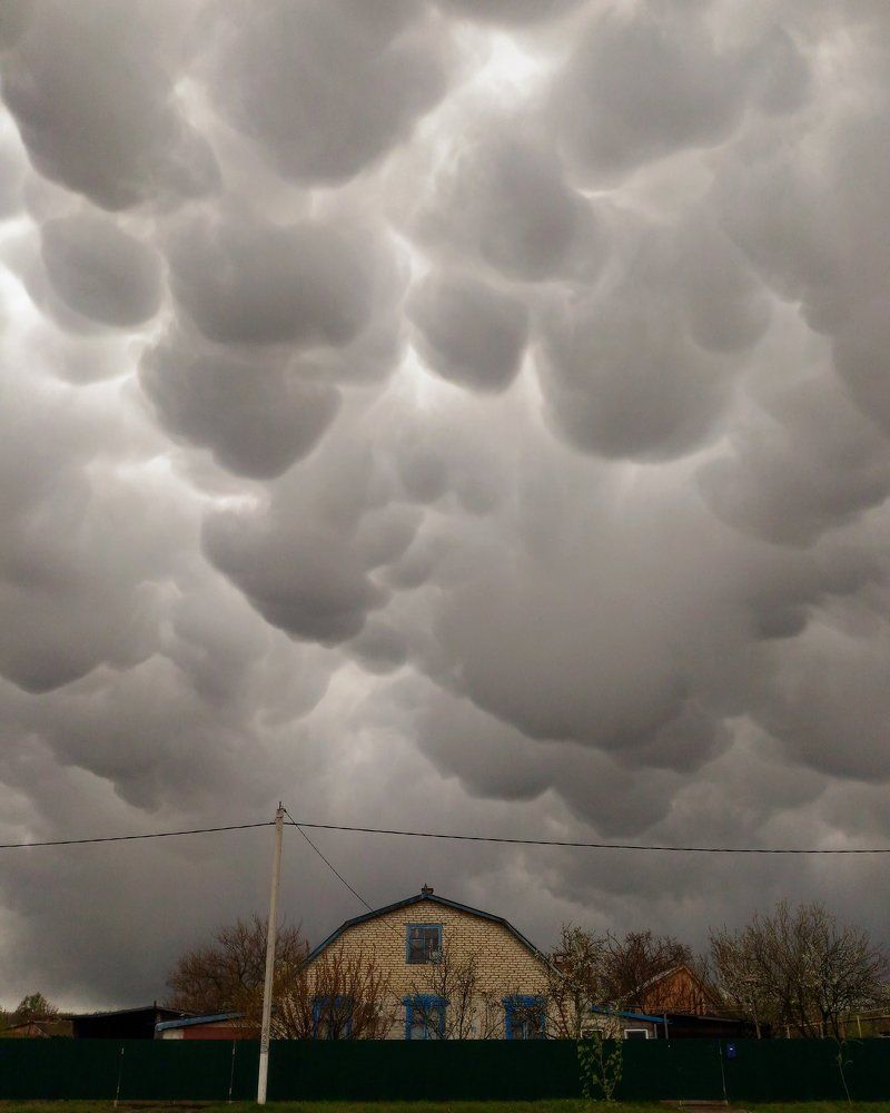 Mammatus