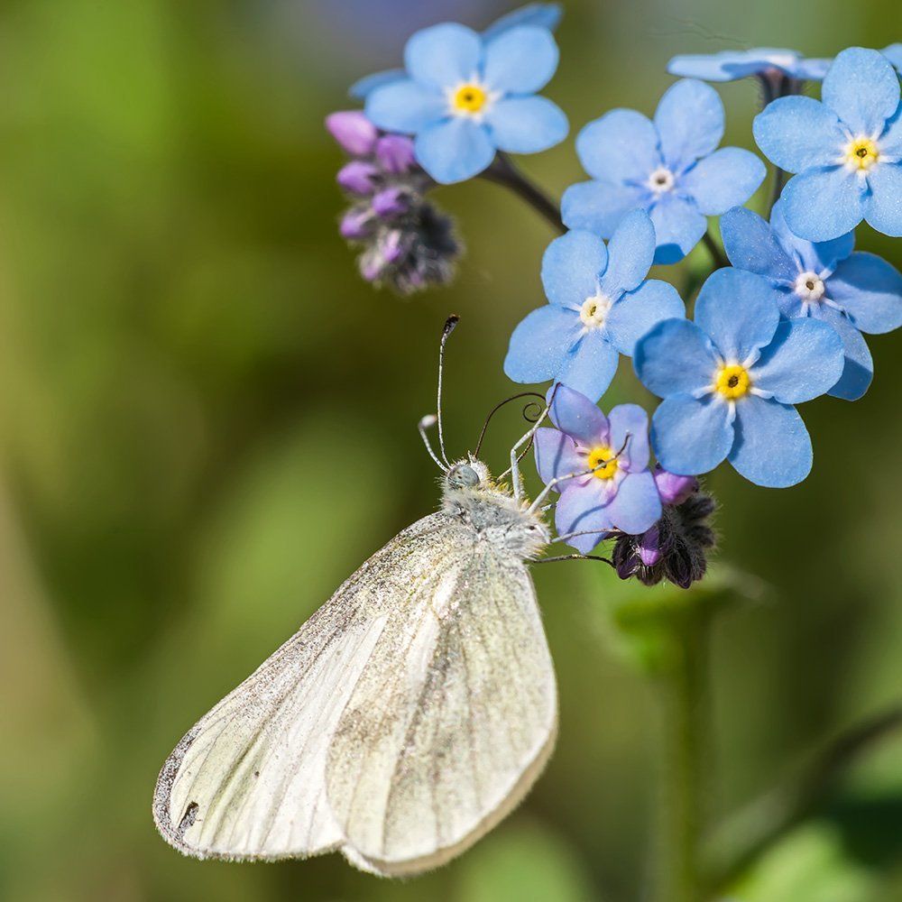 Весна пришла