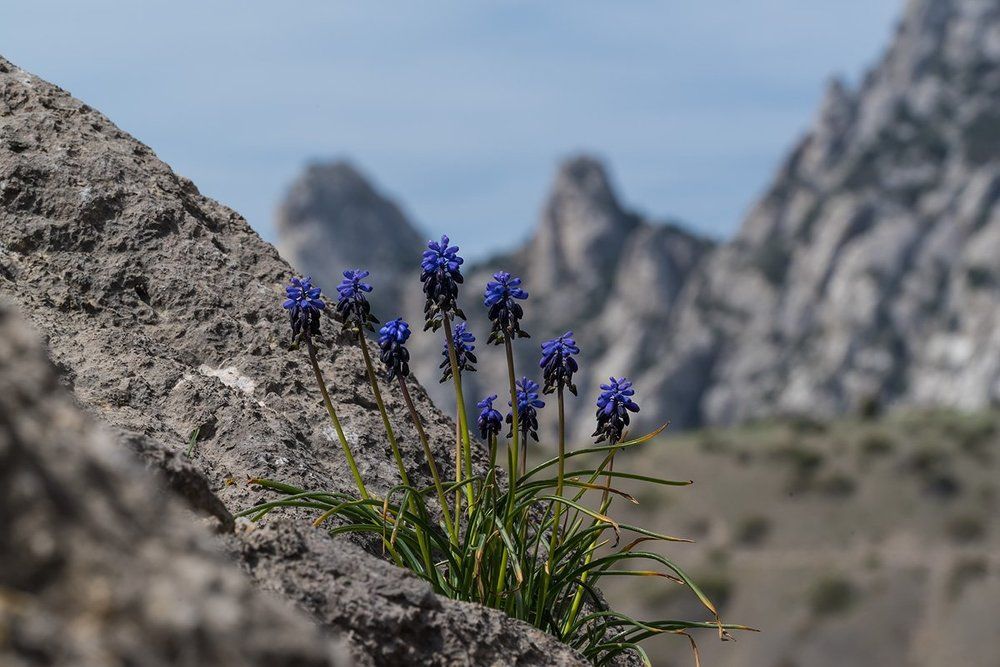 На краю света ...