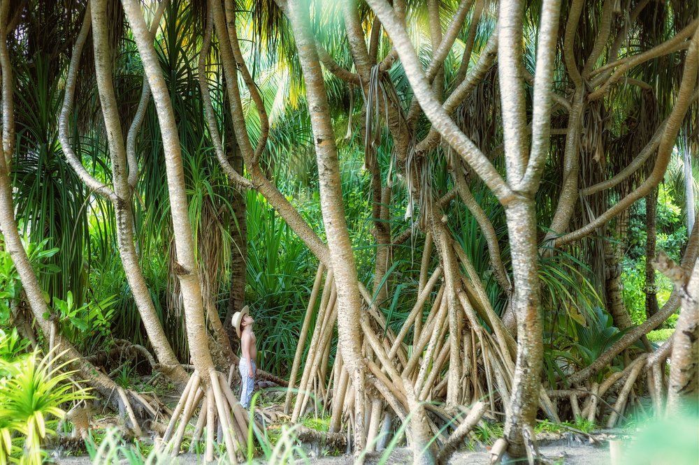 Photograph by Ekaterina