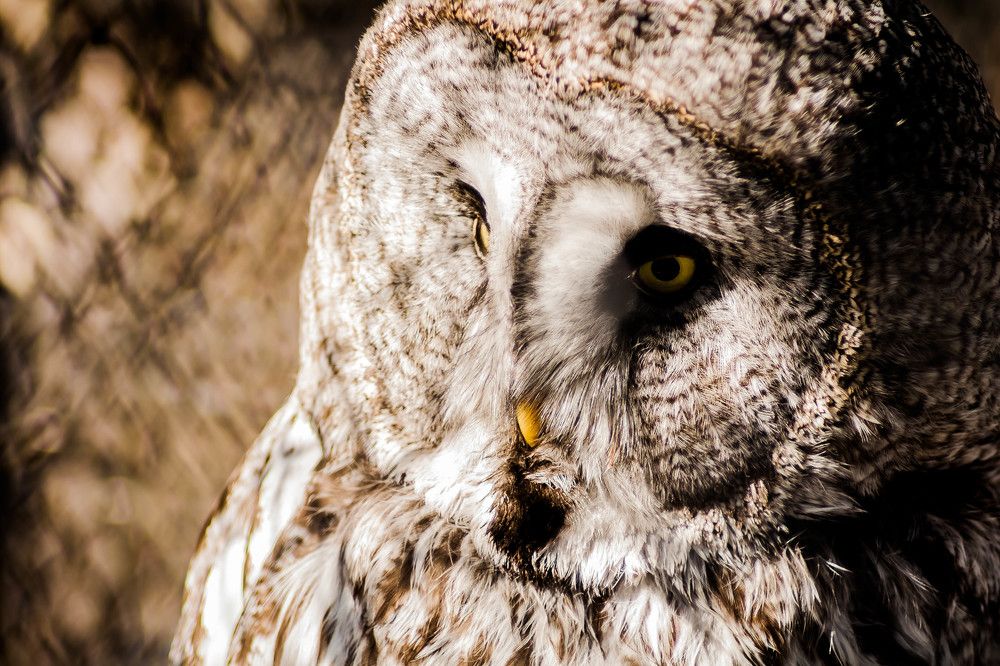 Наедине с философом