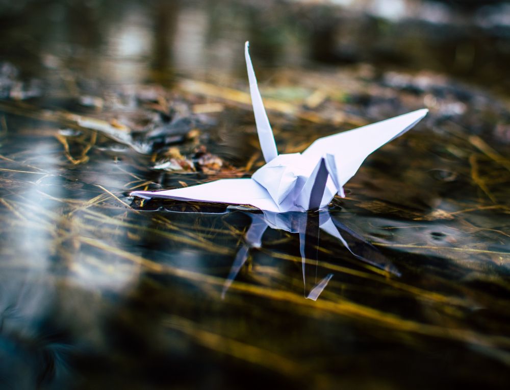 Вверх по течению