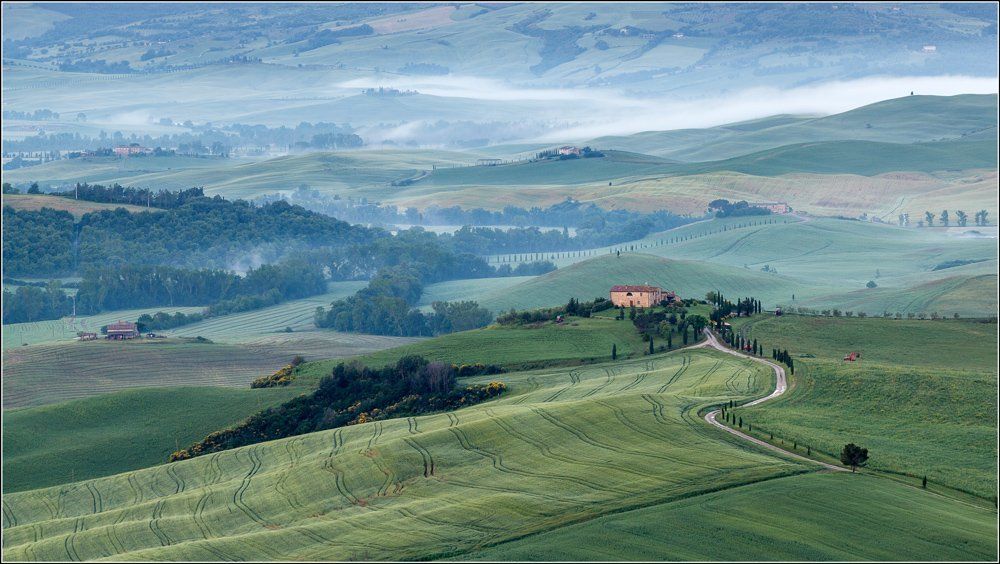 Tuscany Morning