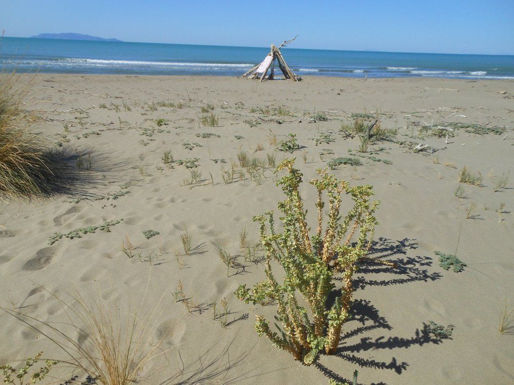 Photo #1738002