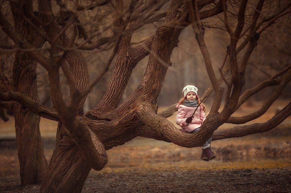 В Стране Волшебных Деревьев