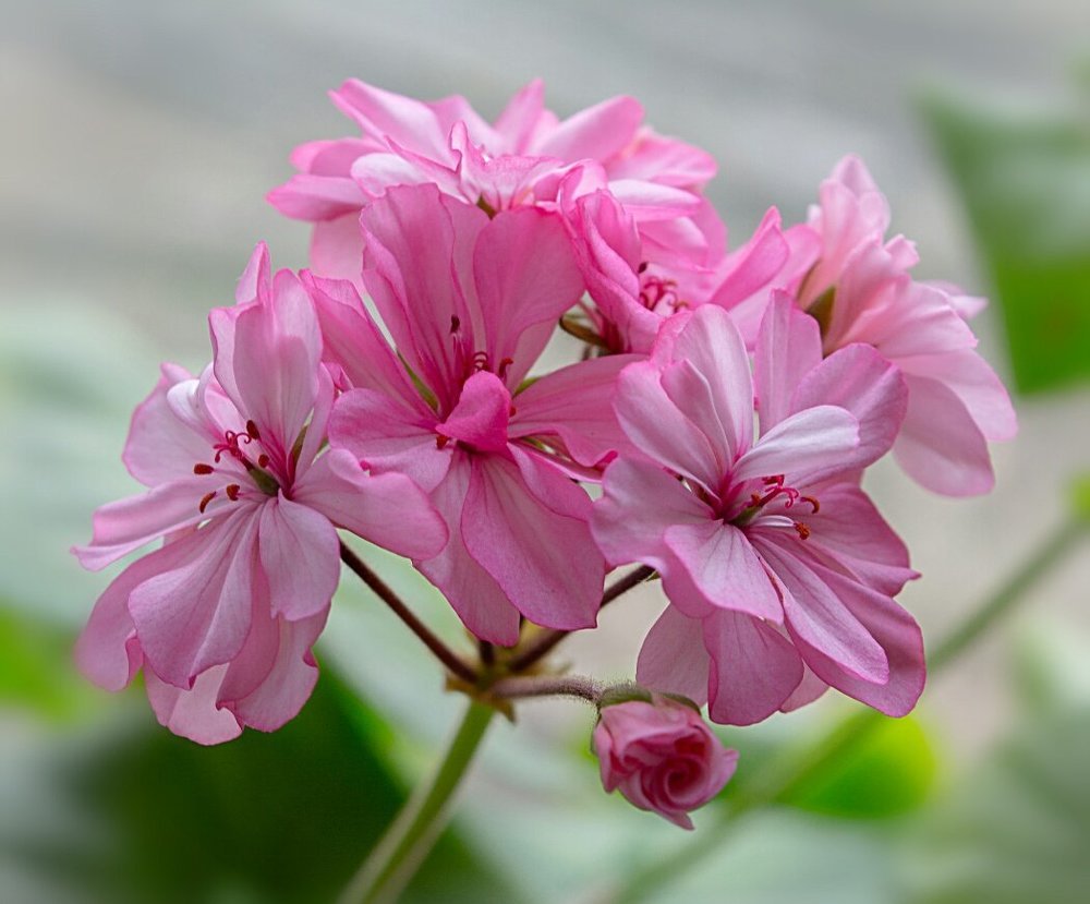 Пробуждение...