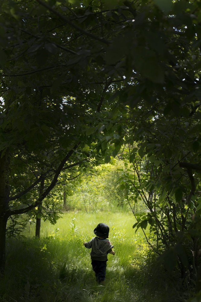 Дорога в сказку