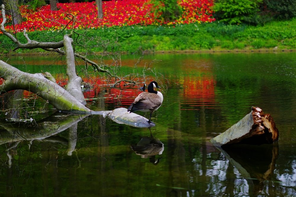 Весенний этюд