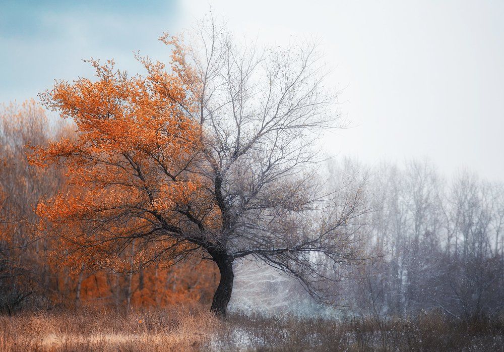 На пороге зимы