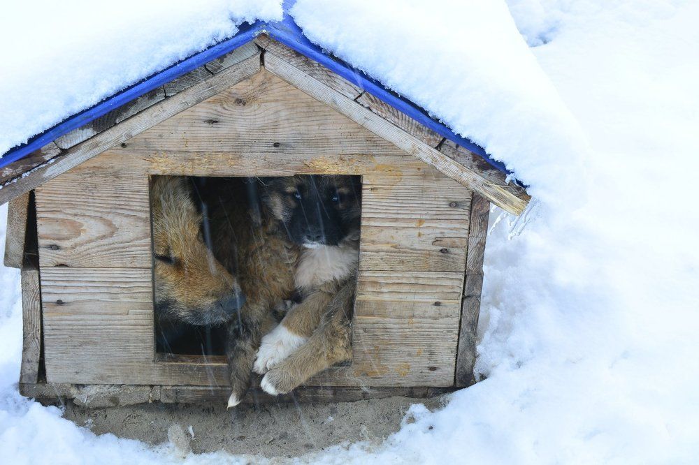 Мама не пускае гулять