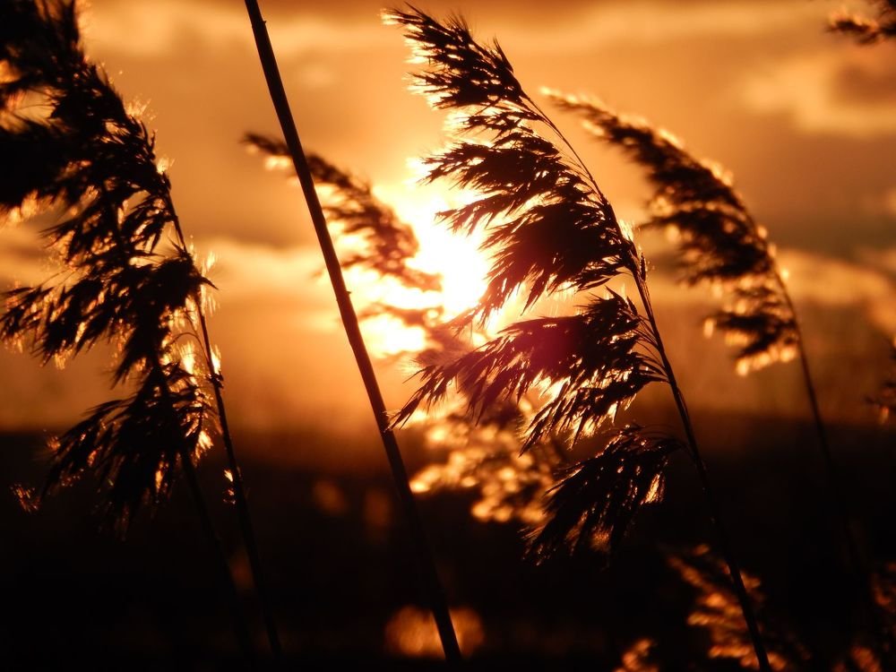 Photograph by Иван Кирилков