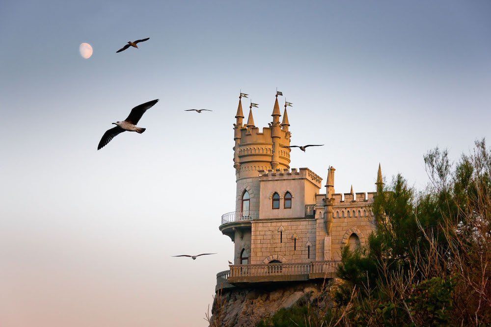 Паря над гнездом ласточки..