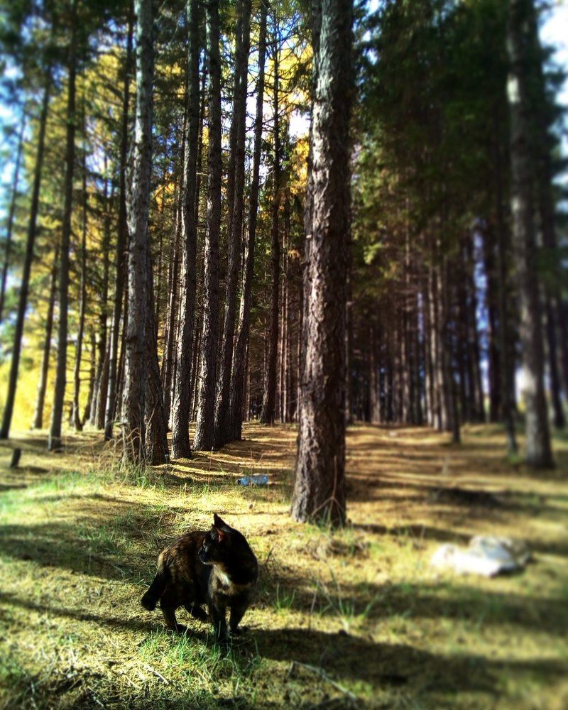 Photograph by Кристина