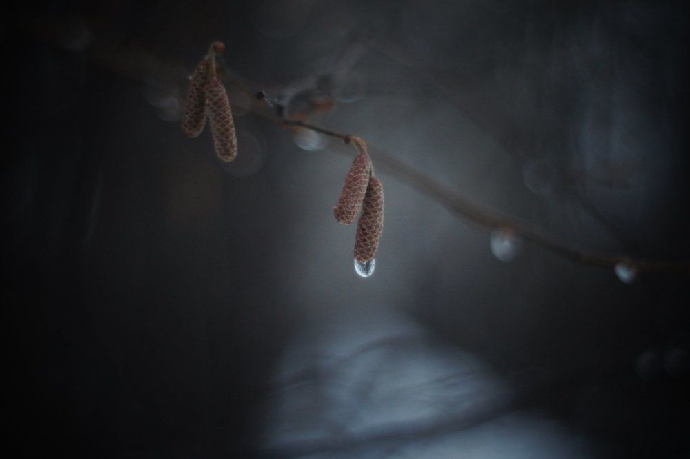 Фотография автора Новиков Вячеслав