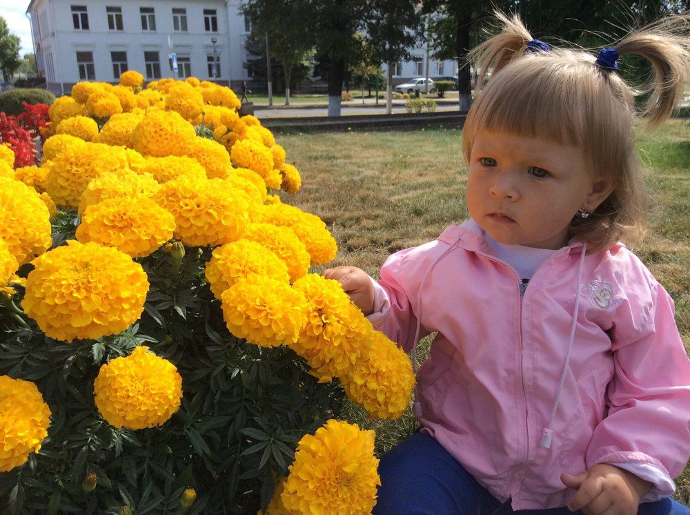 Мир, в котором я живу...